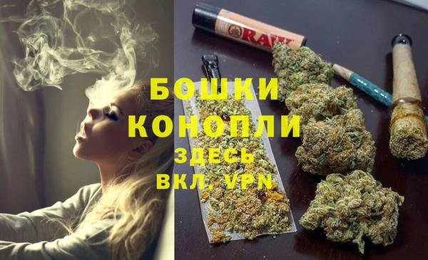 сатива Осташков