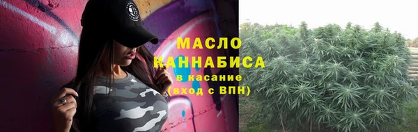 сатива Осташков