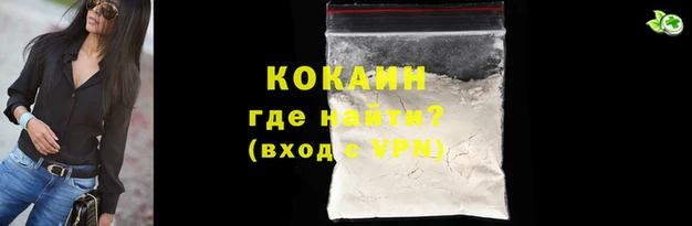прущие грибы Беслан
