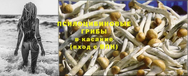 круглые Осинники