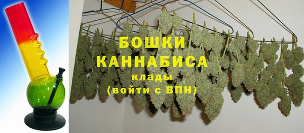 сатива Осташков