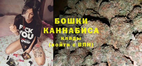 PSILOCYBIN Билибино