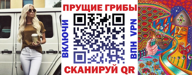 где найти   Электроугли  Галлюциногенные грибы мицелий 